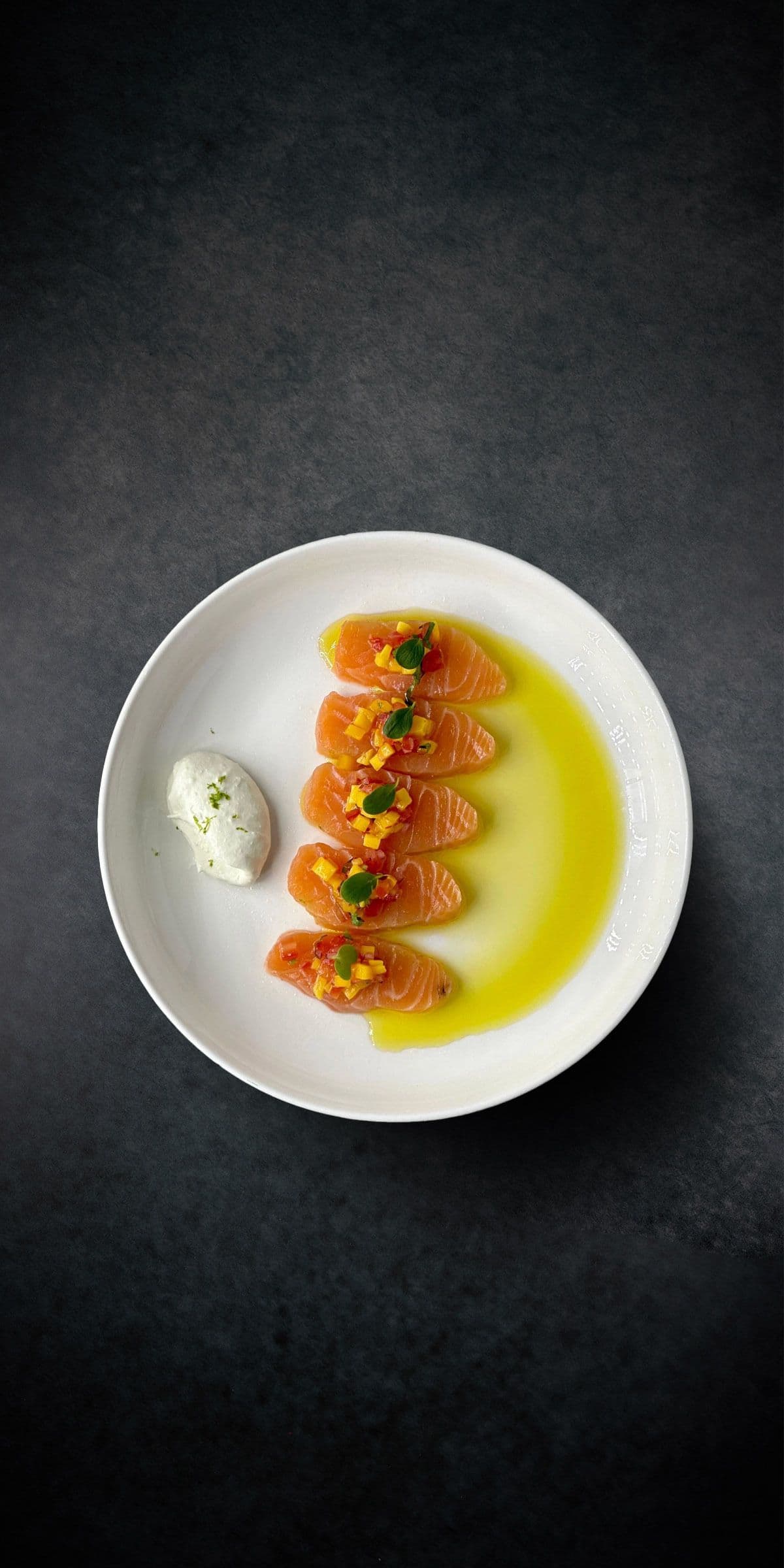Salmon Tartare